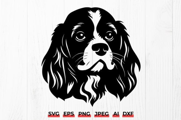 Cavalier King Charles Spaniel Head