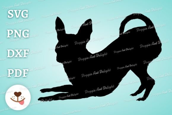Chihuahua Dog
