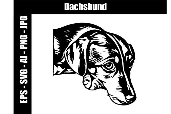 Dachshund SVG EPS PNG JPG AI
